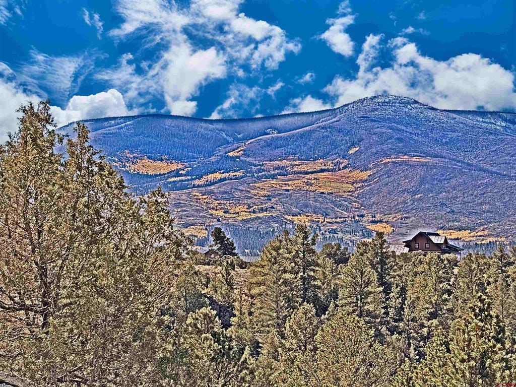 3869 Bear Creek Circle South Fork CO 81154