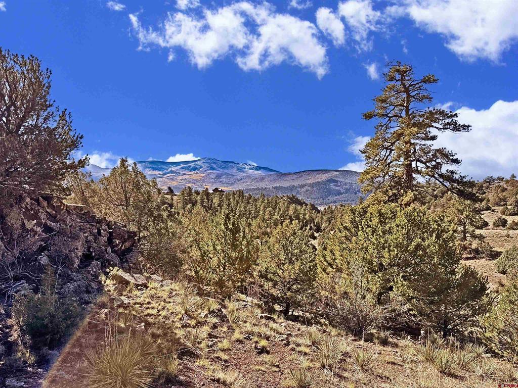 3869 Bear Creek Circle South Fork CO 81154