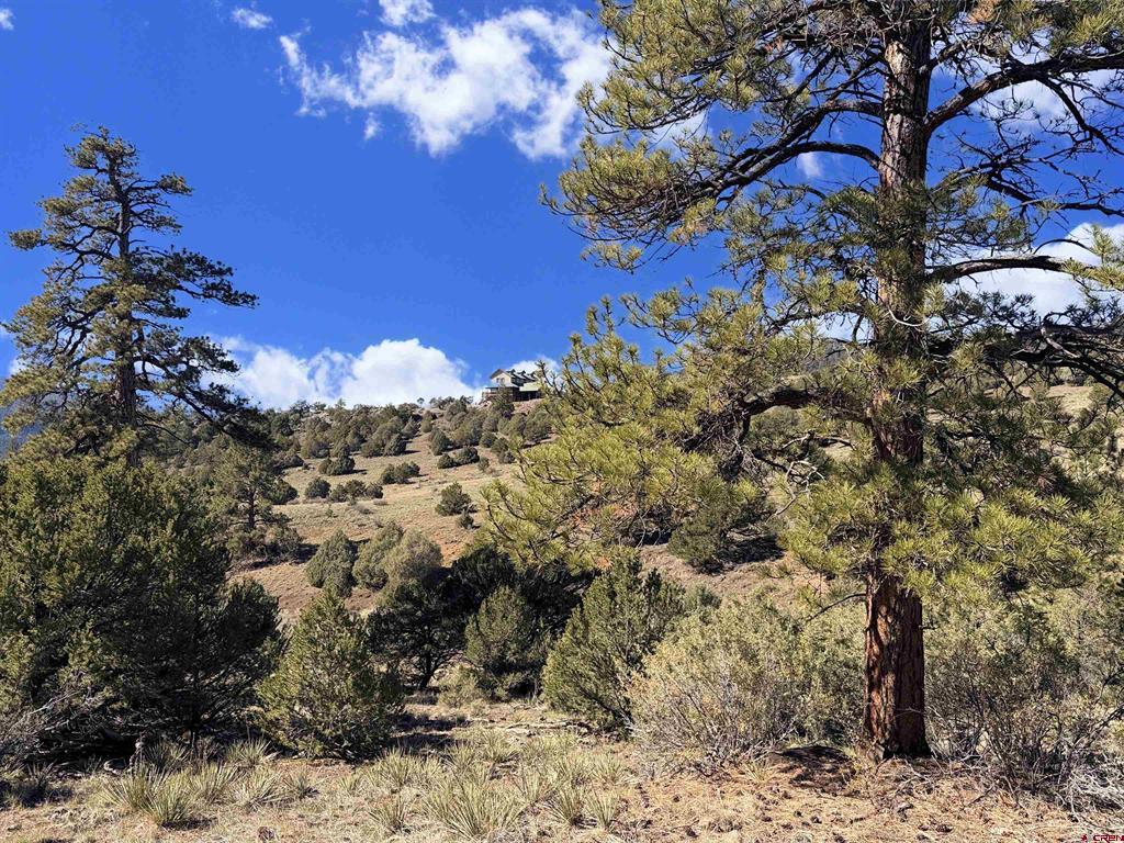 3869 Bear Creek Circle South Fork CO 81154