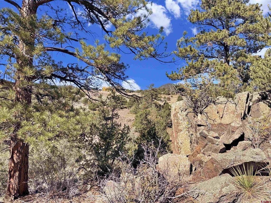 3869 Bear Creek Circle South Fork CO 81154