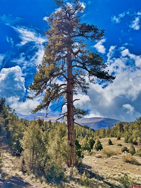 3869 Bear Creek Circle South Fork CO 81154