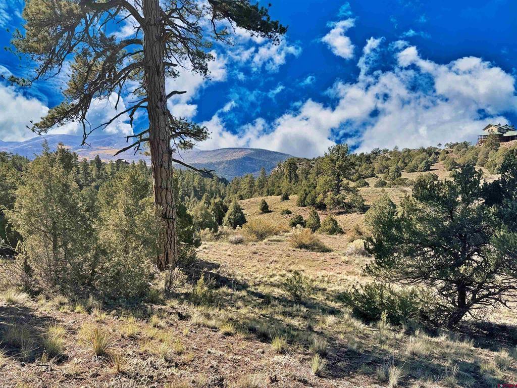 3869 Bear Creek Circle South Fork CO 81154