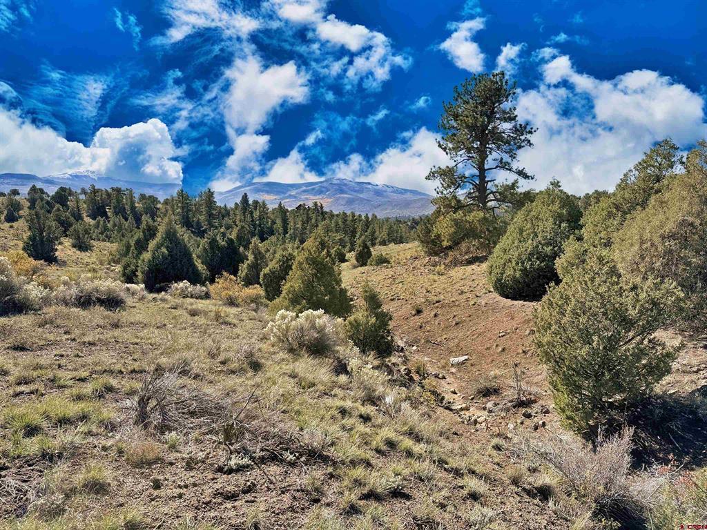 3869 Bear Creek Circle South Fork CO 81154