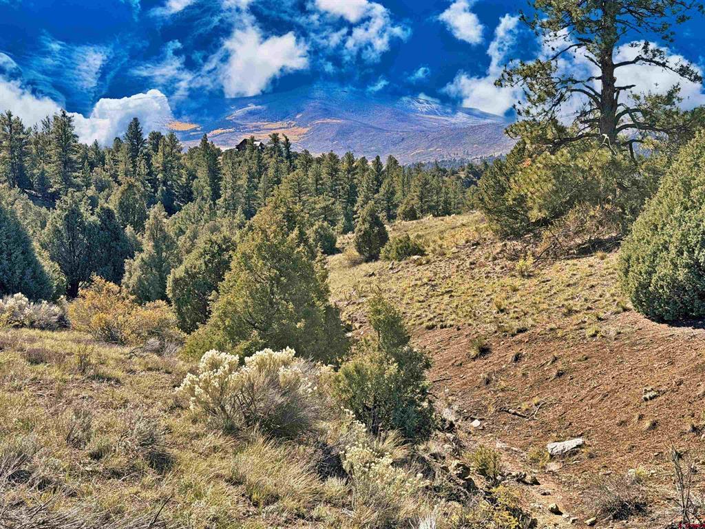3869 Bear Creek Circle South Fork CO 81154