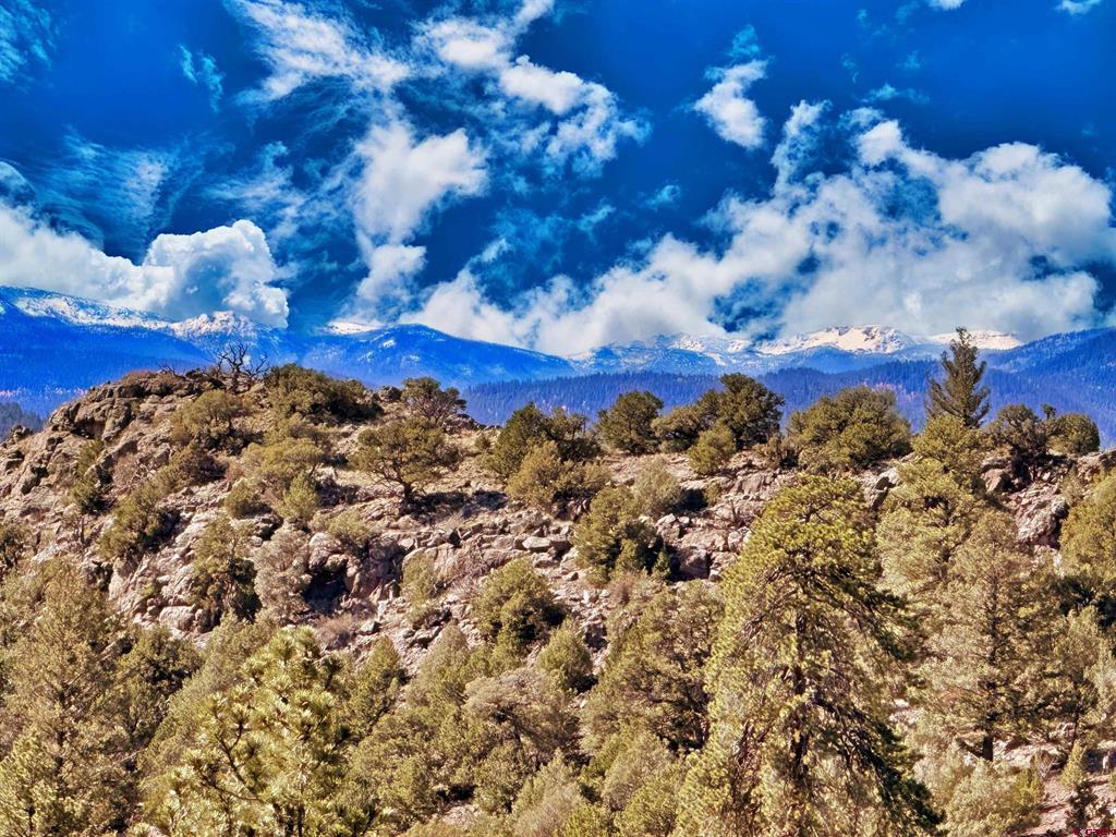 3869 Bear Creek Circle South Fork CO 81154