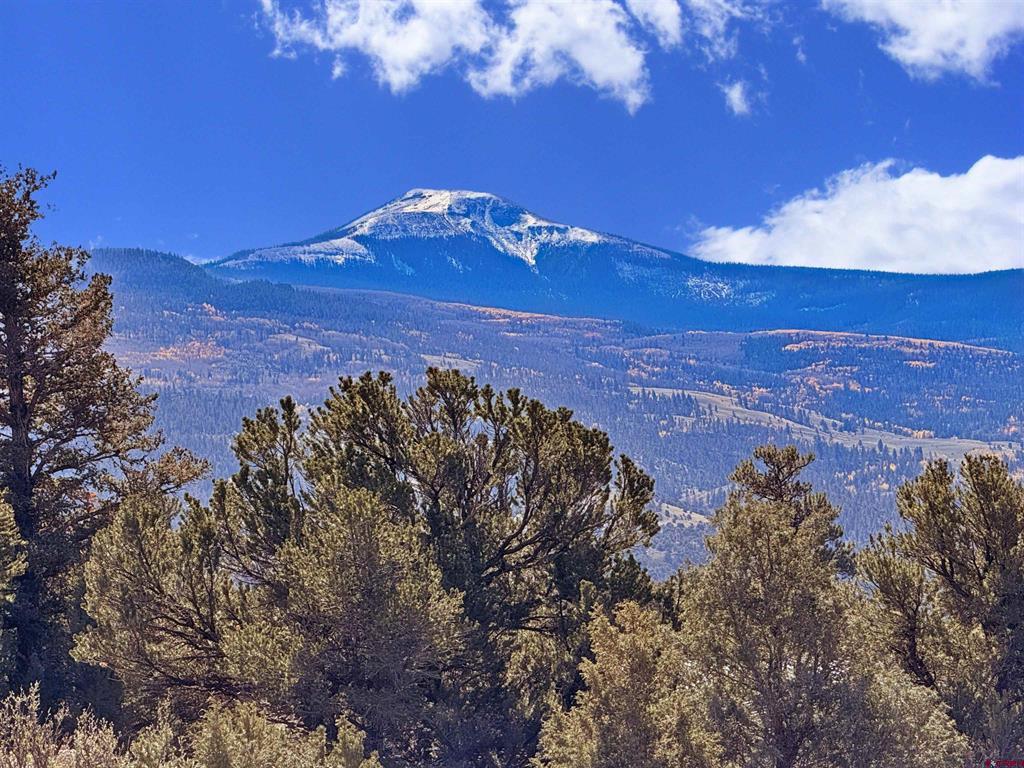 3869 Bear Creek Circle South Fork CO 81154