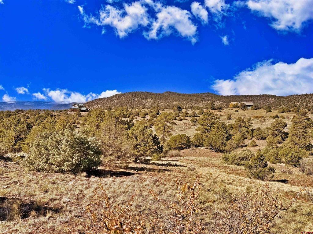 3869 Bear Creek Circle South Fork CO 81154
