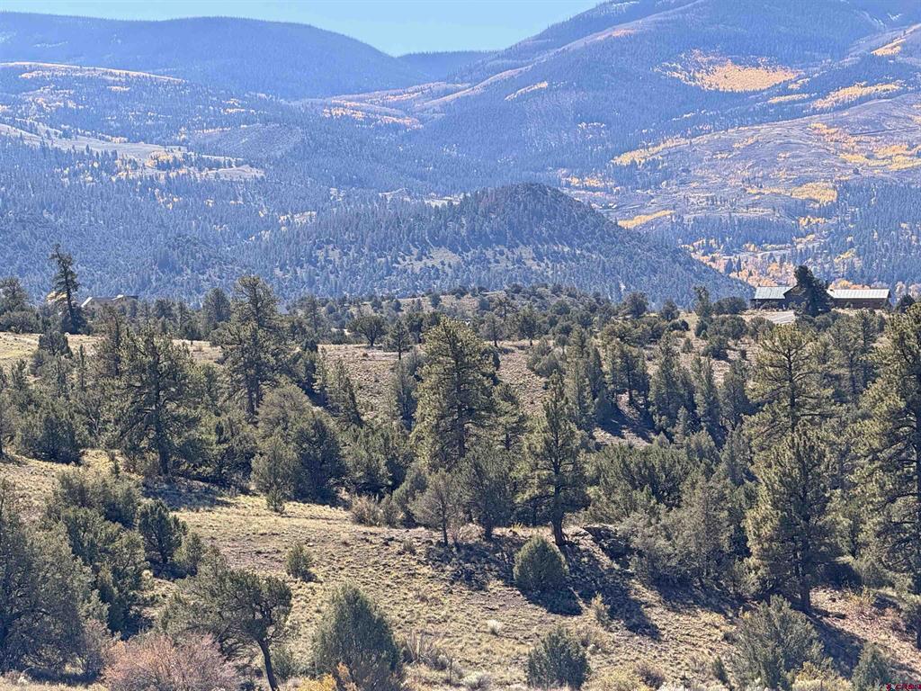 3869 Bear Creek Circle South Fork CO 81154