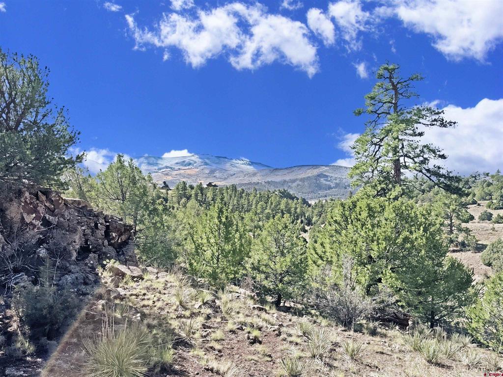 3869 Bear Creek Circle South Fork CO 81154