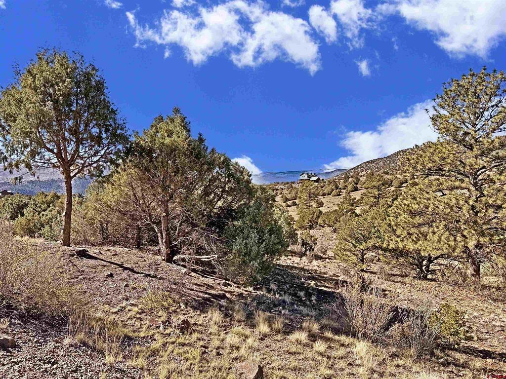 3869 Bear Creek Circle South Fork CO 81154