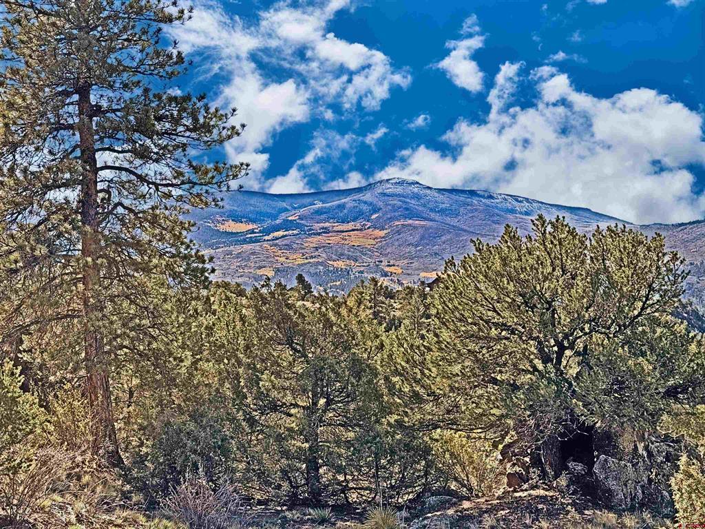 3869 Bear Creek Circle South Fork CO 81154