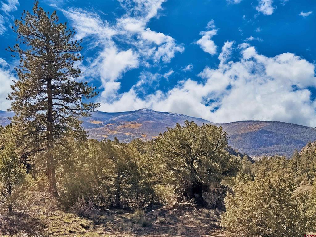3869 Bear Creek Circle South Fork CO 81154