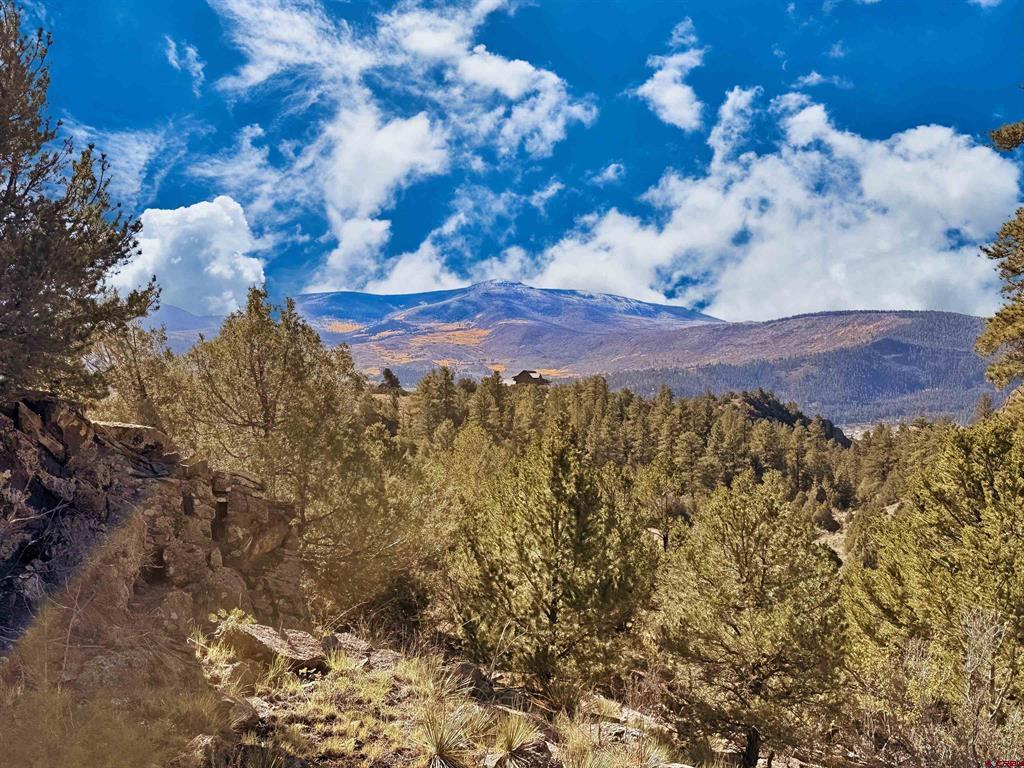 3869 Bear Creek Circle South Fork CO 81154