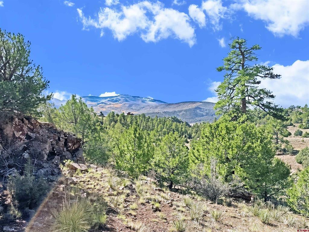 3869 Bear Creek Circle South Fork CO 81154