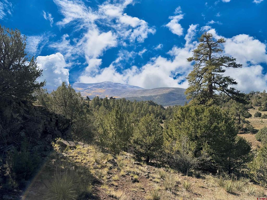 3869 Bear Creek Circle South Fork CO 81154