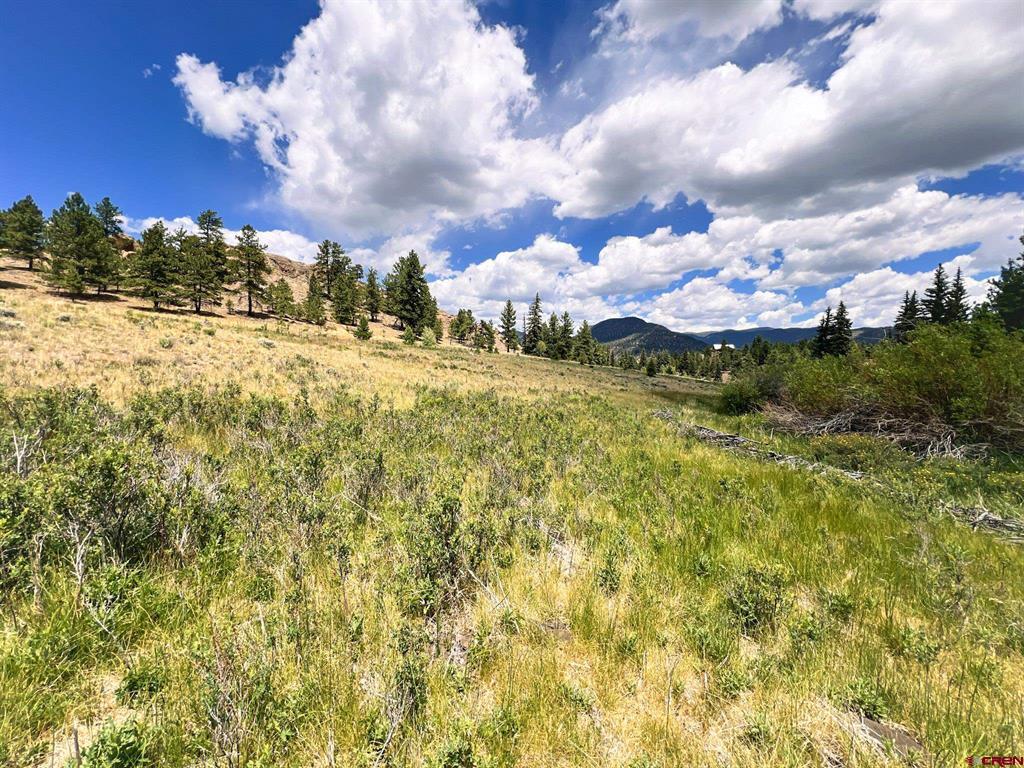 356 Church Creek Drive South Fork CO 81154