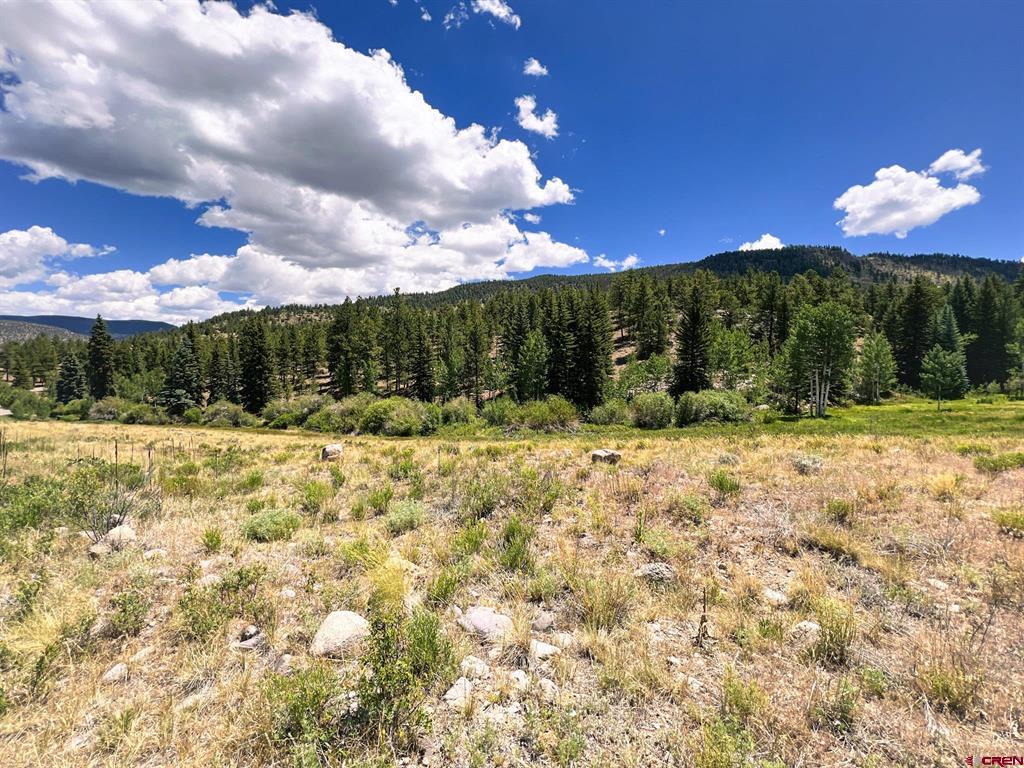 356 Church Creek Drive South Fork CO 81154