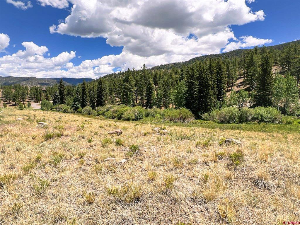 356 Church Creek Drive South Fork CO 81154