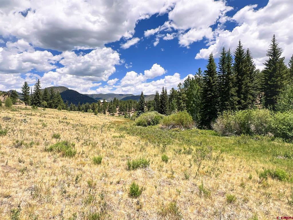 356 Church Creek Drive South Fork CO 81154