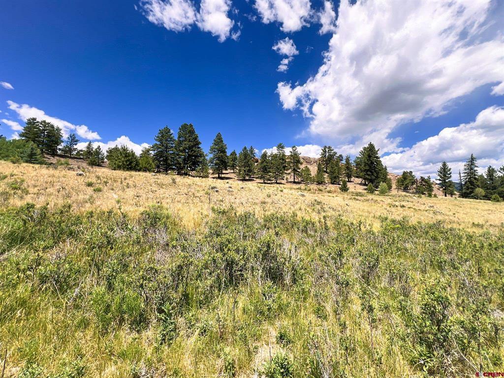 356 Church Creek Drive South Fork CO 81154