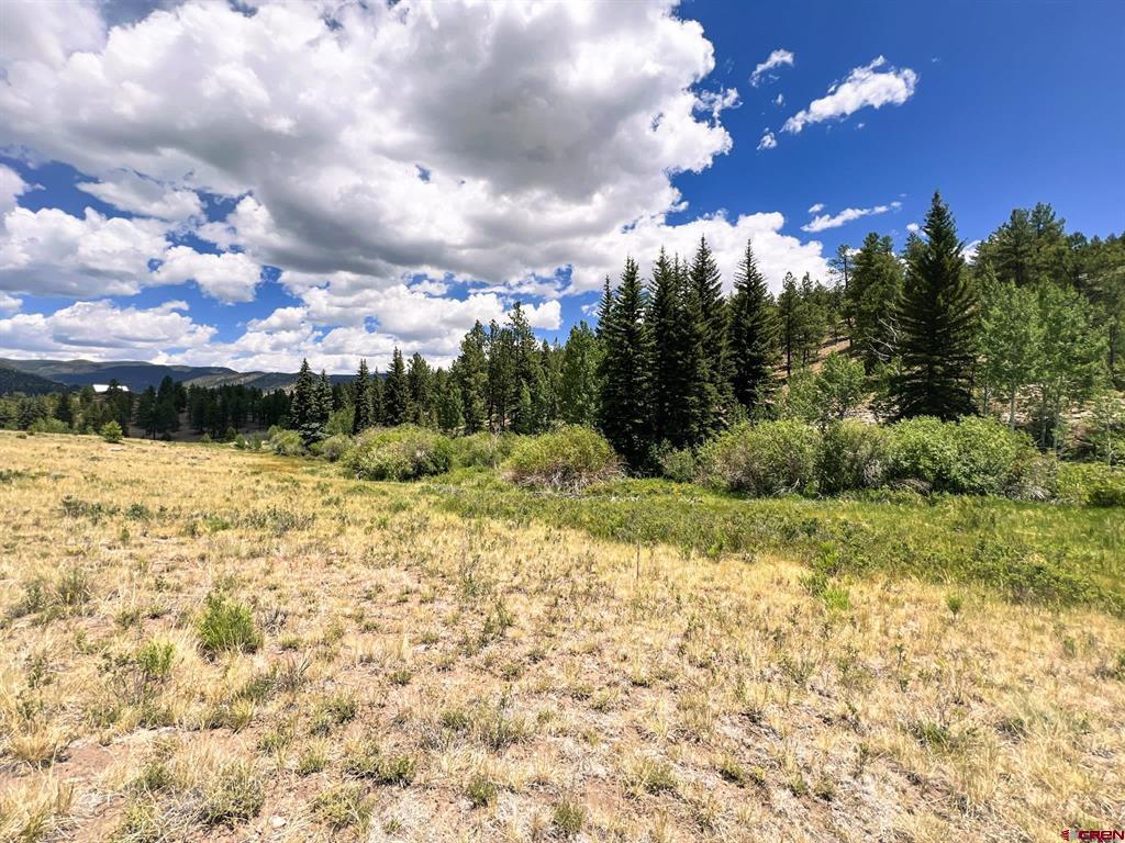 356 Church Creek Drive South Fork CO 81154