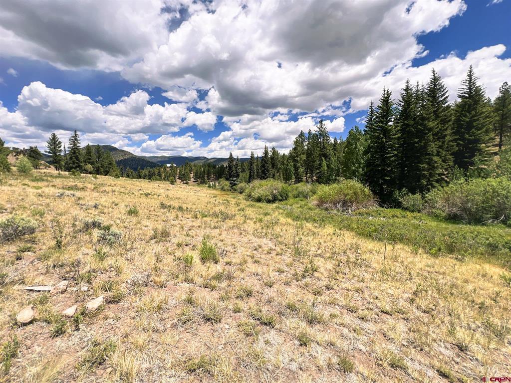 356 Church Creek Drive South Fork CO 81154