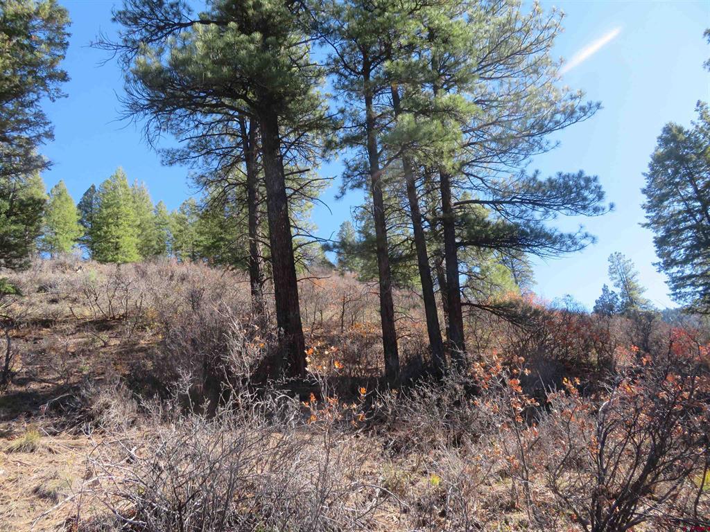 448 Evergreen Drive Pagosa Springs CO 81147