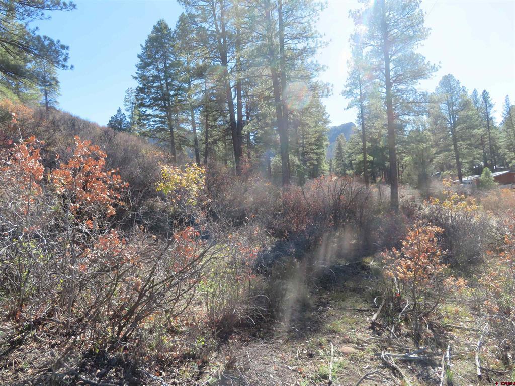 448 Evergreen Drive Pagosa Springs CO 81147