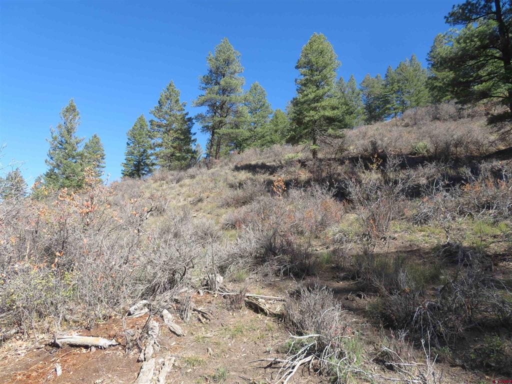 448 Evergreen Drive Pagosa Springs CO 81147