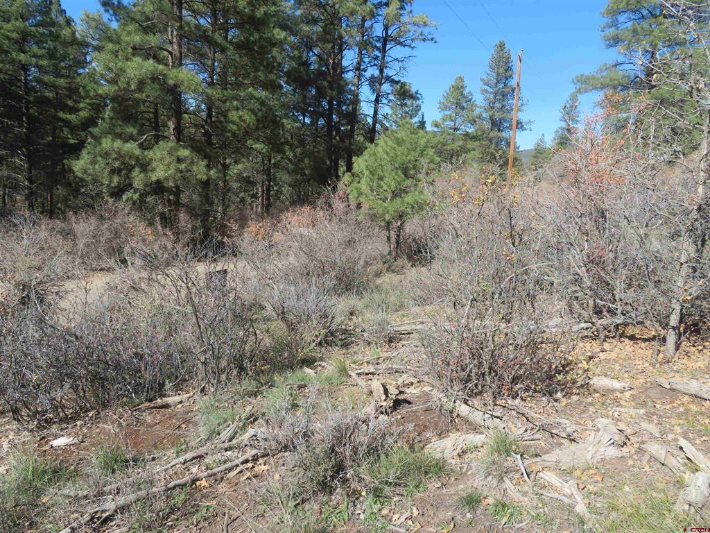 448 Evergreen Drive Pagosa Springs CO 81147