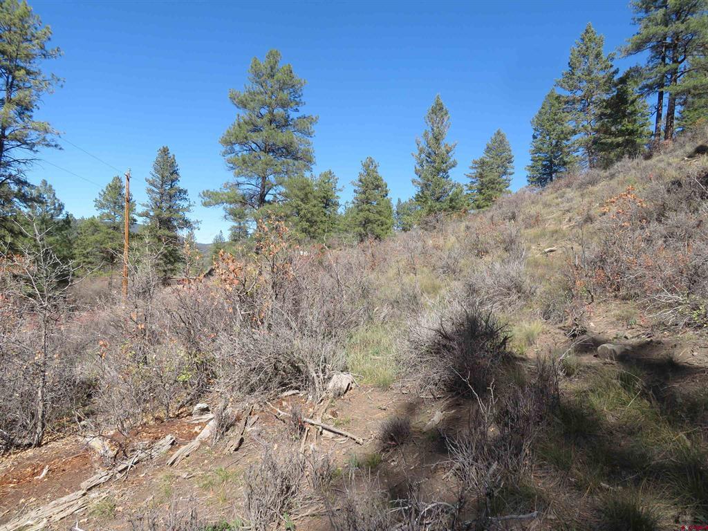 448 Evergreen Drive Pagosa Springs CO 81147