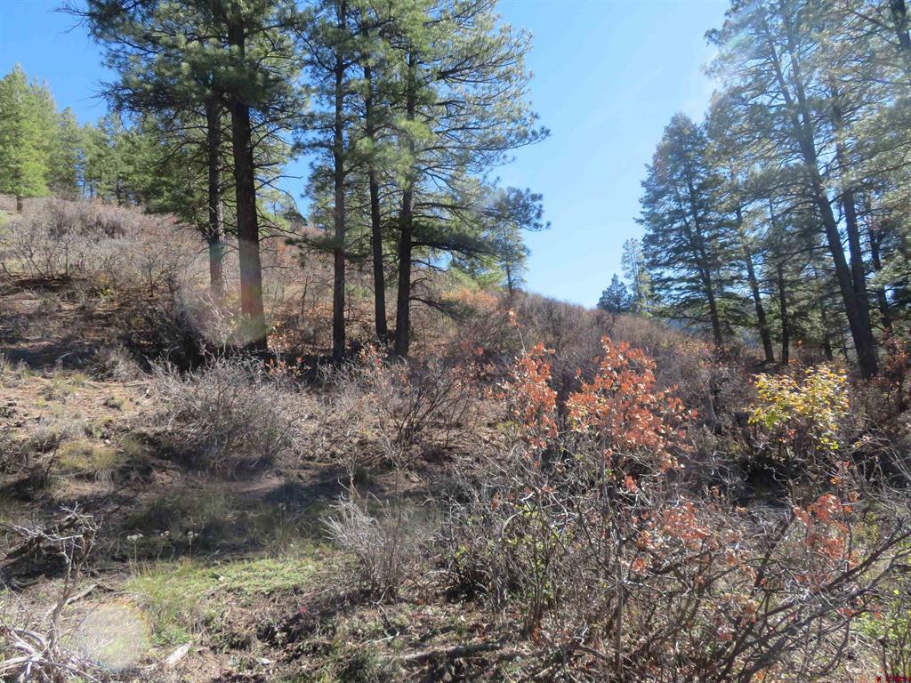 448 Evergreen Drive Pagosa Springs CO 81147