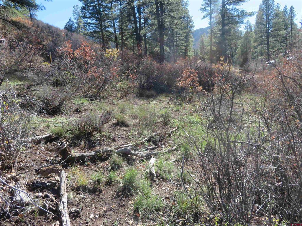 448 Evergreen Drive Pagosa Springs CO 81147
