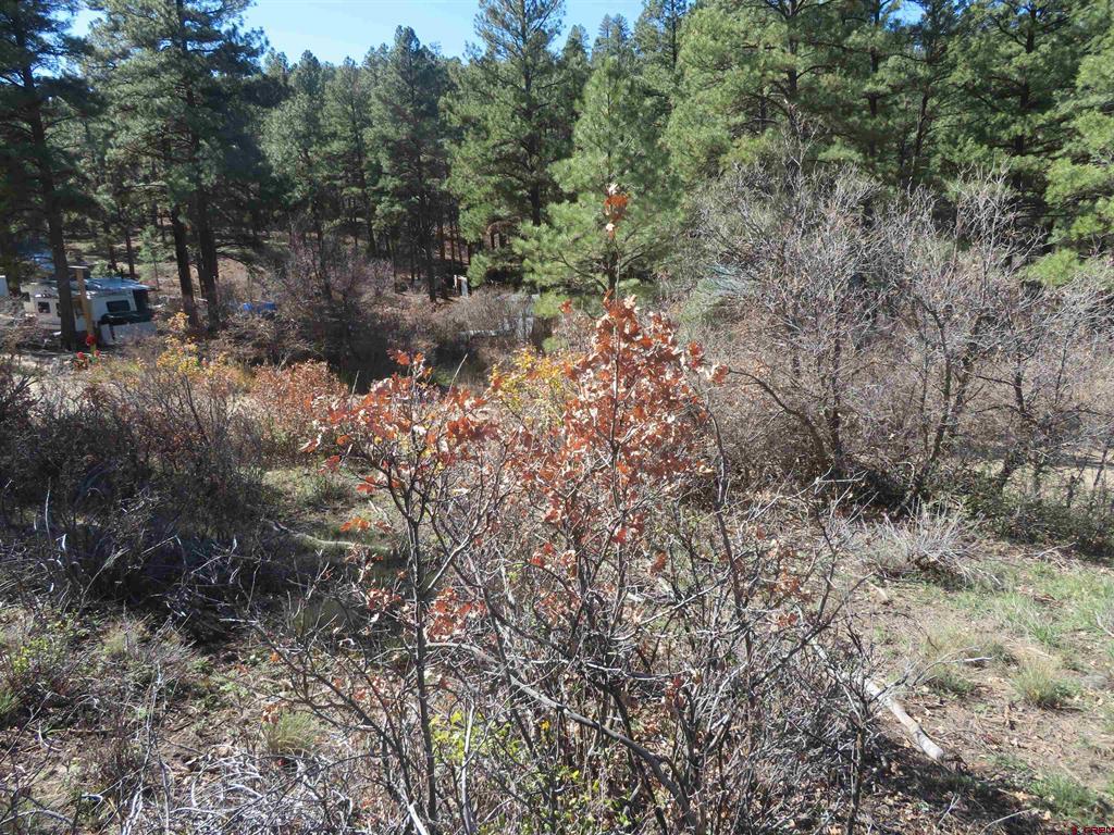 448 Evergreen Drive Pagosa Springs CO 81147