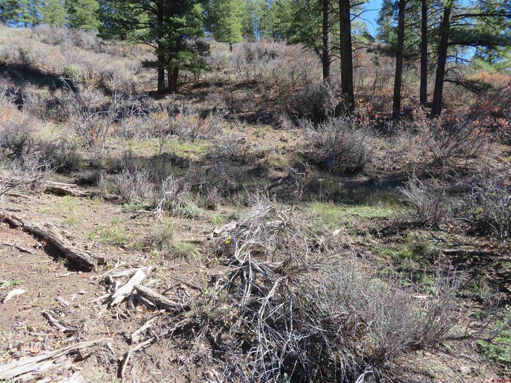 448 Evergreen Drive Pagosa Springs CO 81147