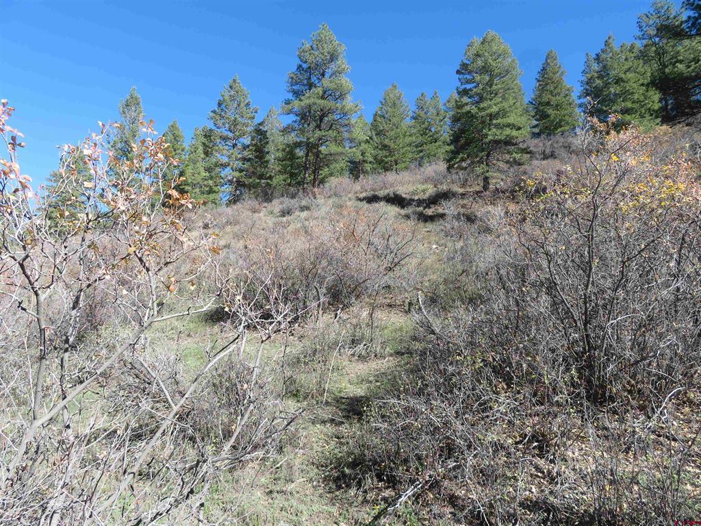 448 Evergreen Drive Pagosa Springs CO 81147