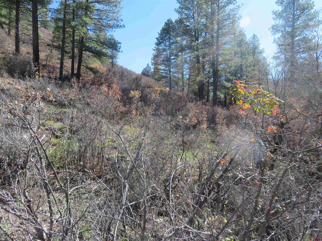 448 Evergreen Drive Pagosa Springs CO 81147