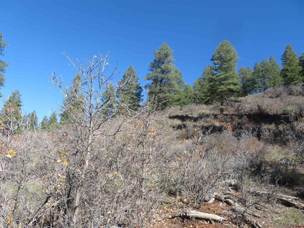 448 Evergreen Drive Pagosa Springs CO 81147