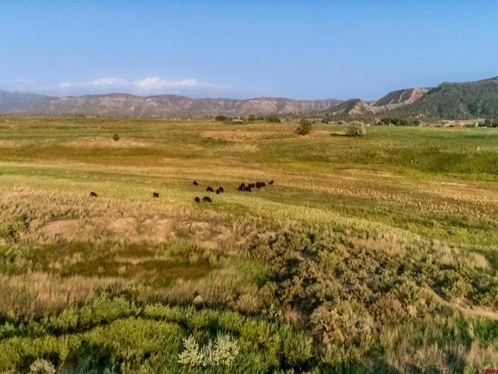 Lots 3-4 G.25 Road Mancos CO 81328