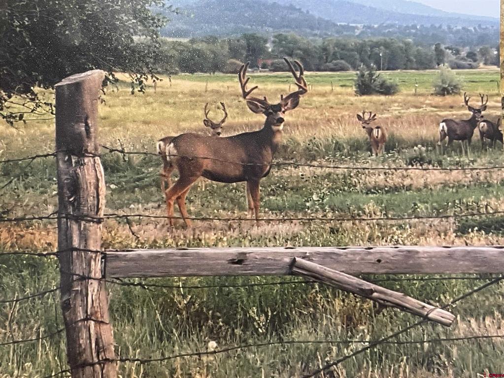 Lots 3-4 G.25 Road Mancos CO 81328