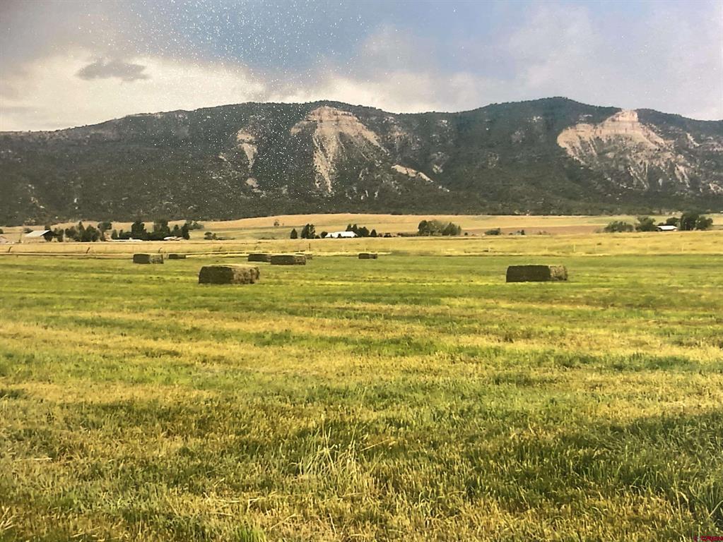 Lots 3-4 G.25 Road Mancos CO 81328