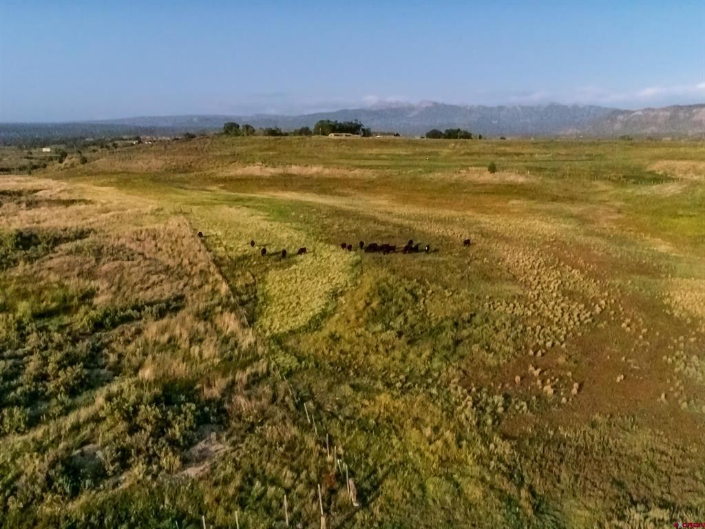 Lots 3-4 G.25 Road Mancos CO 81328