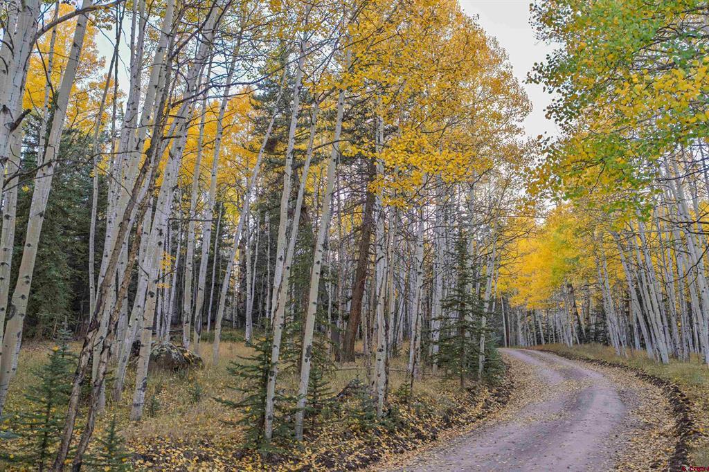 32301 Spring Creek Drive Creede CO 81130