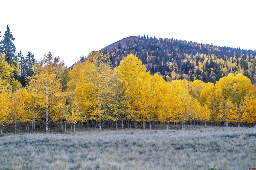 32301 Spring Creek Drive Creede CO 81130