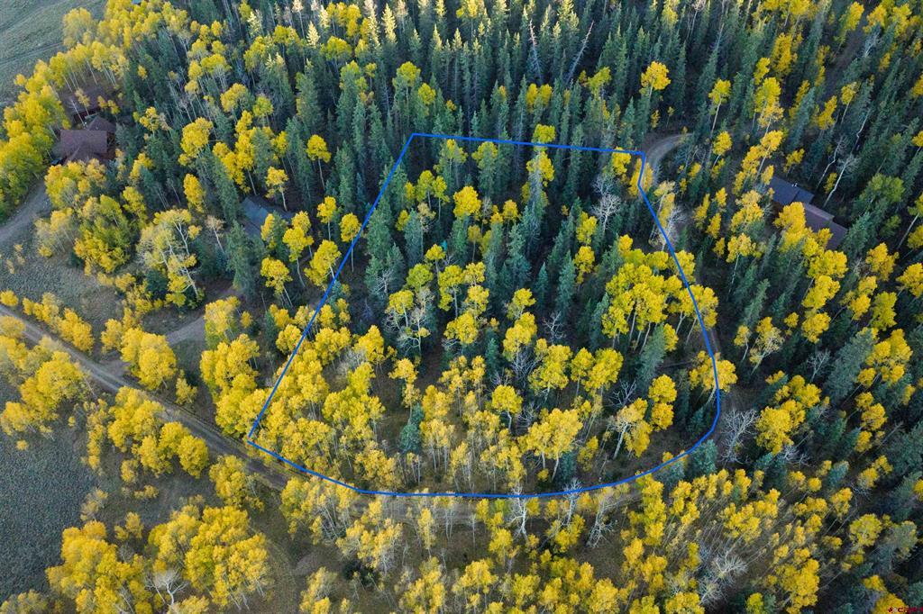 32301 Spring Creek Drive Creede CO 81130