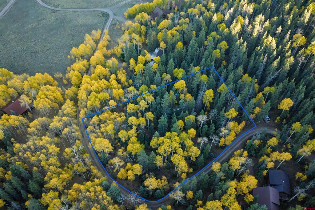 32301 Spring Creek Drive Creede CO 81130