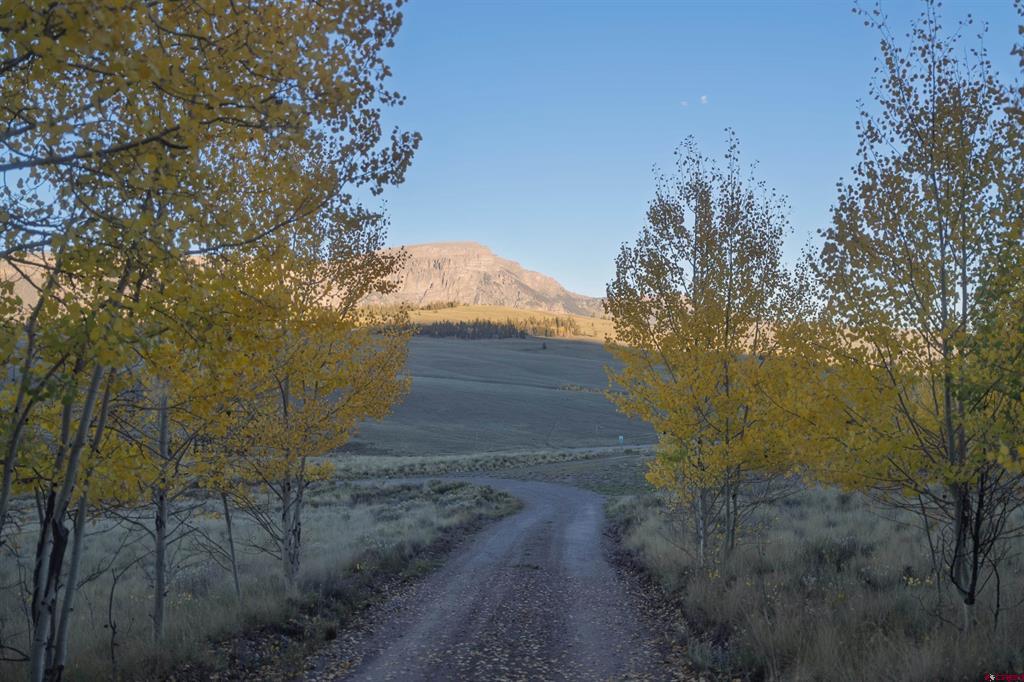 32301 Spring Creek Drive Creede CO 81130