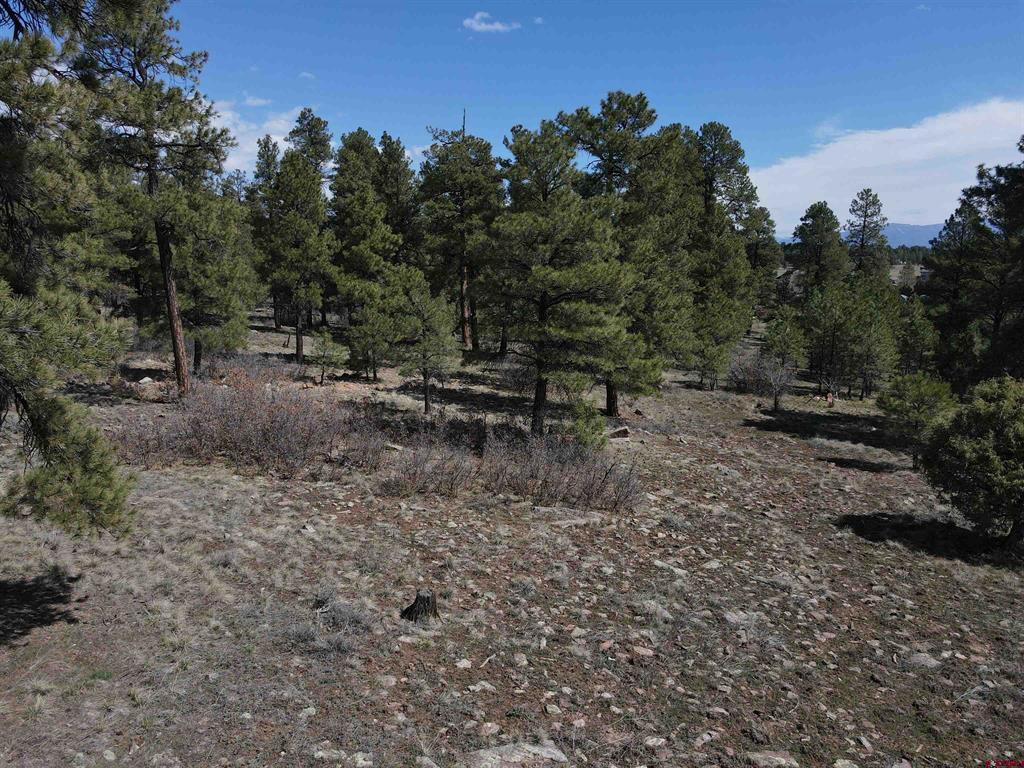 233 Martinez Place Pagosa Springs CO 81147