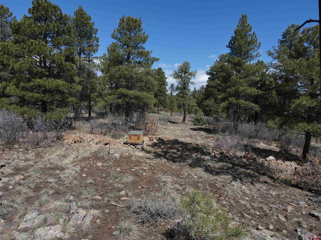 233 Martinez Place Pagosa Springs CO 81147
