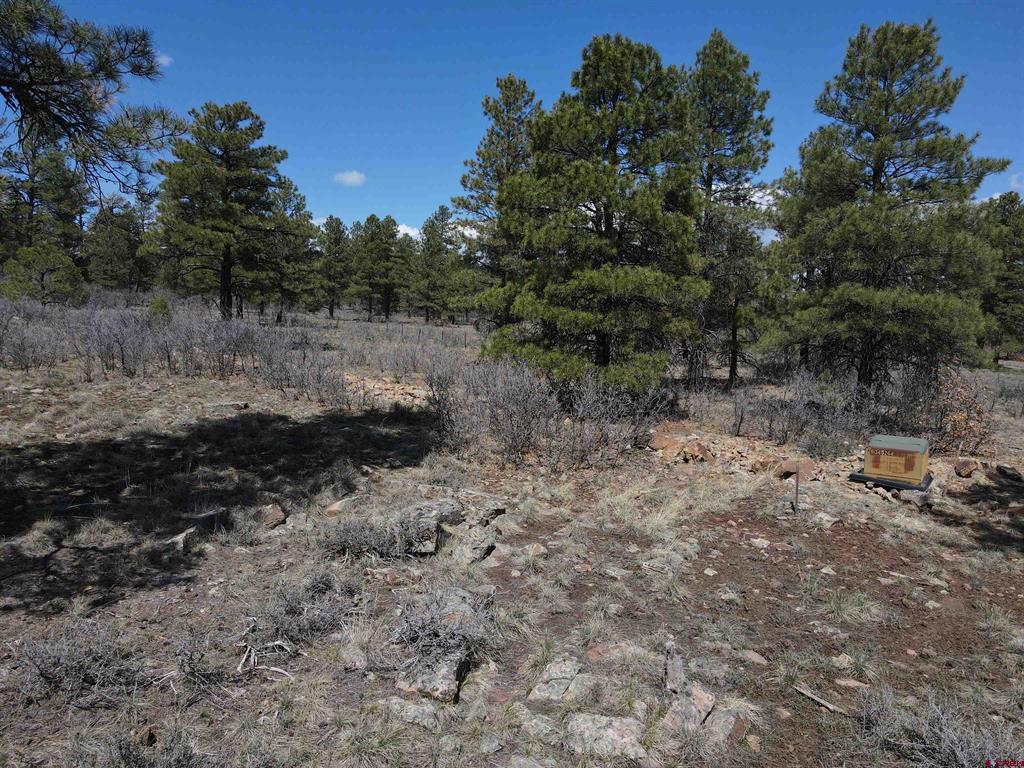 233 Martinez Place Pagosa Springs CO 81147